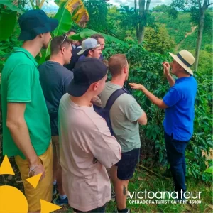 Recorrido turístico acompañado por guías bilingües