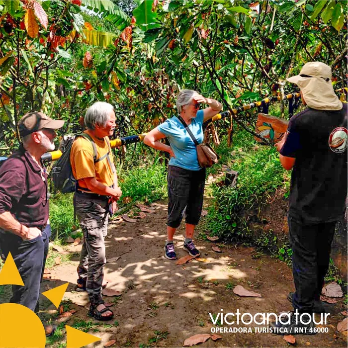 Tour de cacao en el Quindío