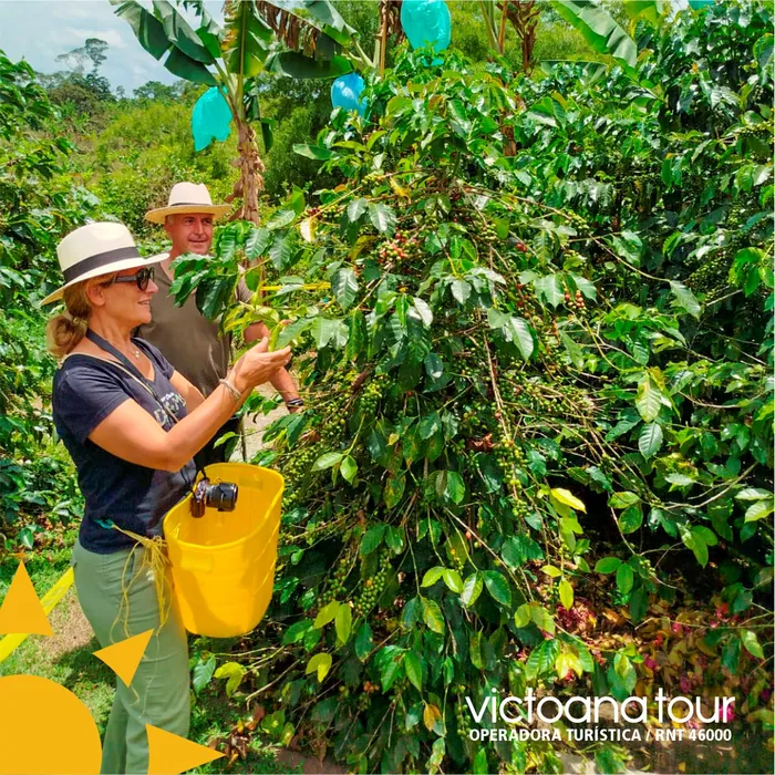 Tour de cafe en el Quindío