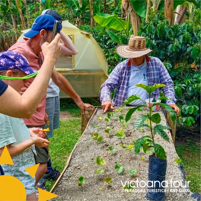 Tour de cafe en el Quindío